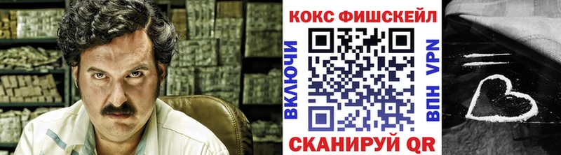 COCAIN Fish Scale  закладки  Урус-Мартан 