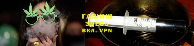 гидра Долгопрудный