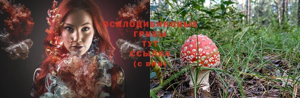 spice Абаза